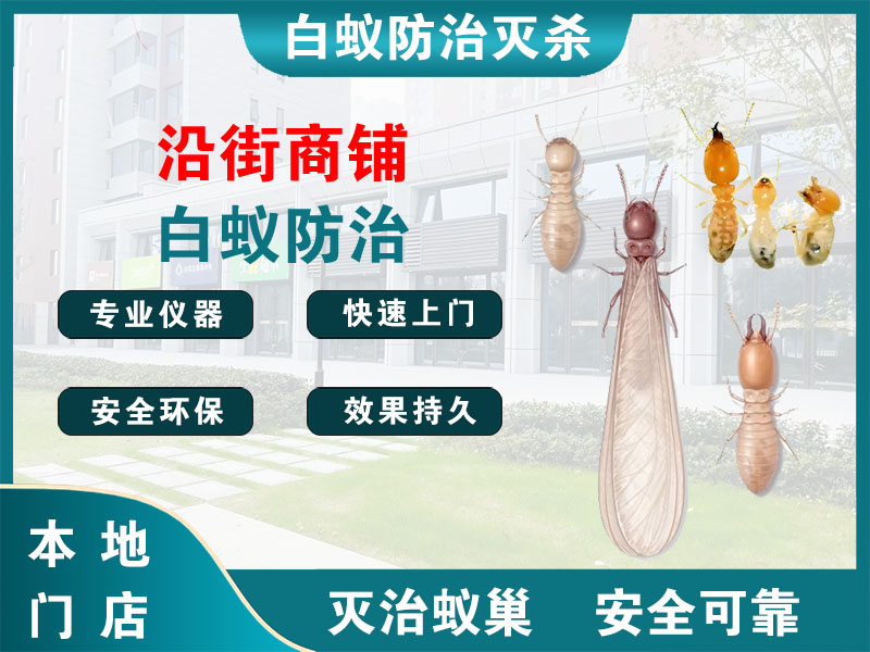 金华市沿街商铺白蚁防治