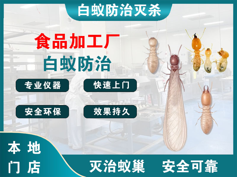 金华市食品加工厂白蚁防治