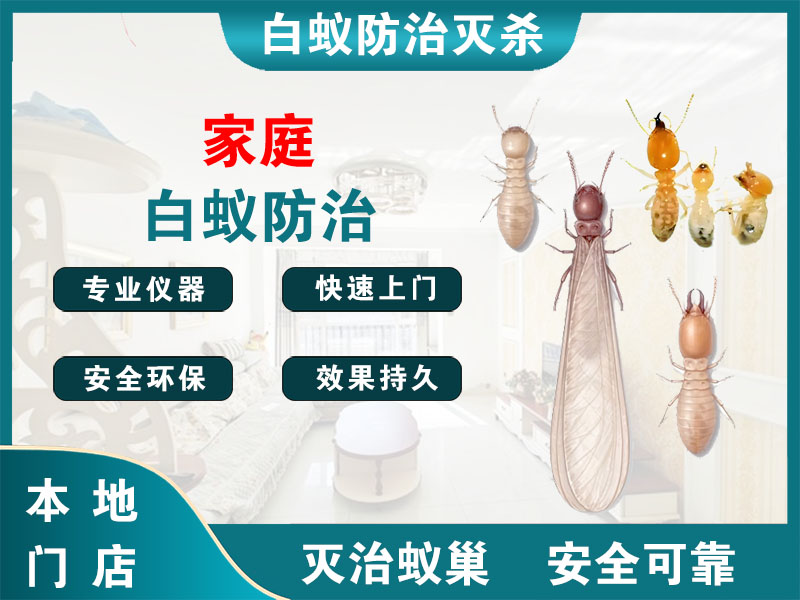 金华市家庭白蚁防治