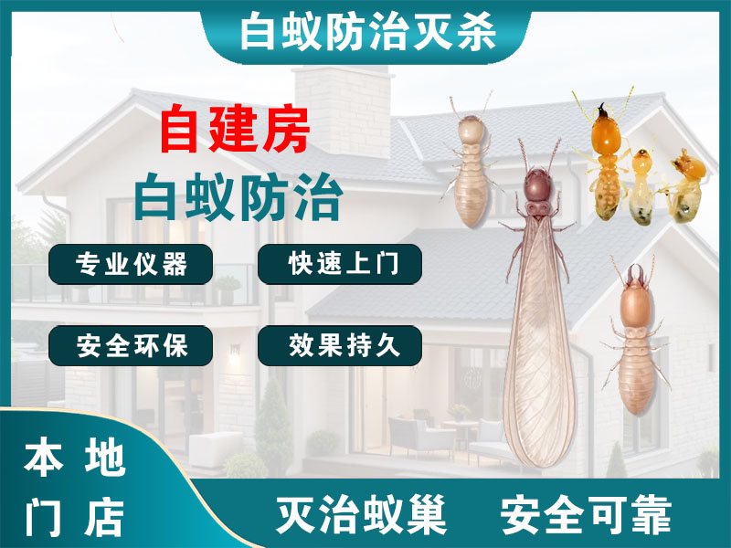 金华市自建房白蚁防治
