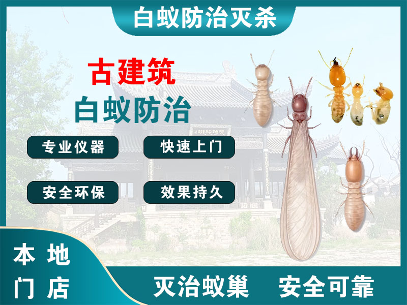 金华市古建筑白蚁防治