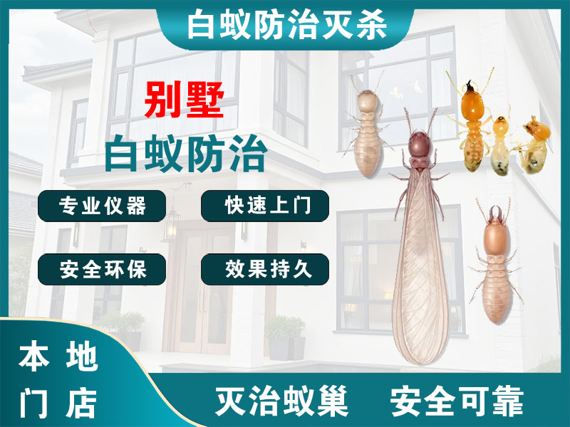 金华市别墅白蚁防治
