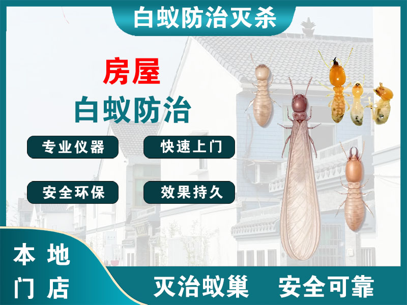 金华市房屋白蚁防治